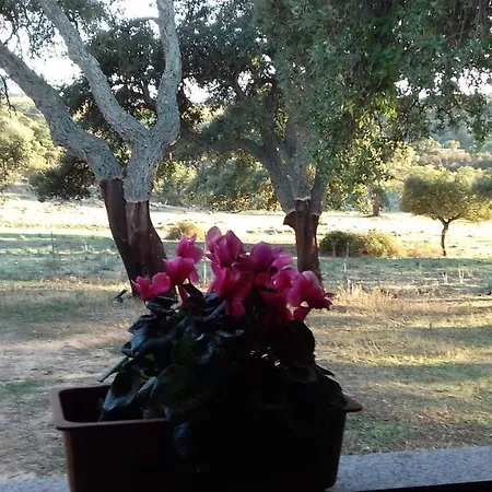 Agriturismo La tanca-3